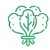 organic produce icon