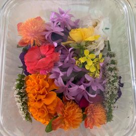 edible flowers