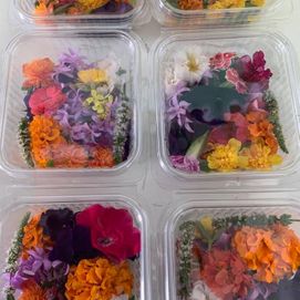 edible flowers 3