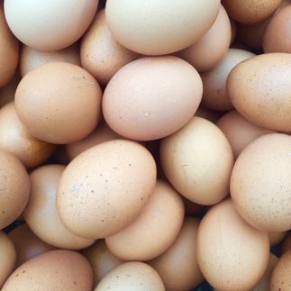 eggs