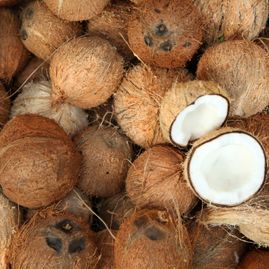 Coconut